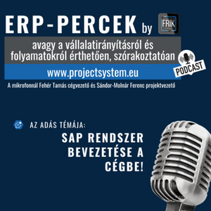 ERP-percek: Minden, amit a SAP rendszer bevezetéséről tudni érdemes